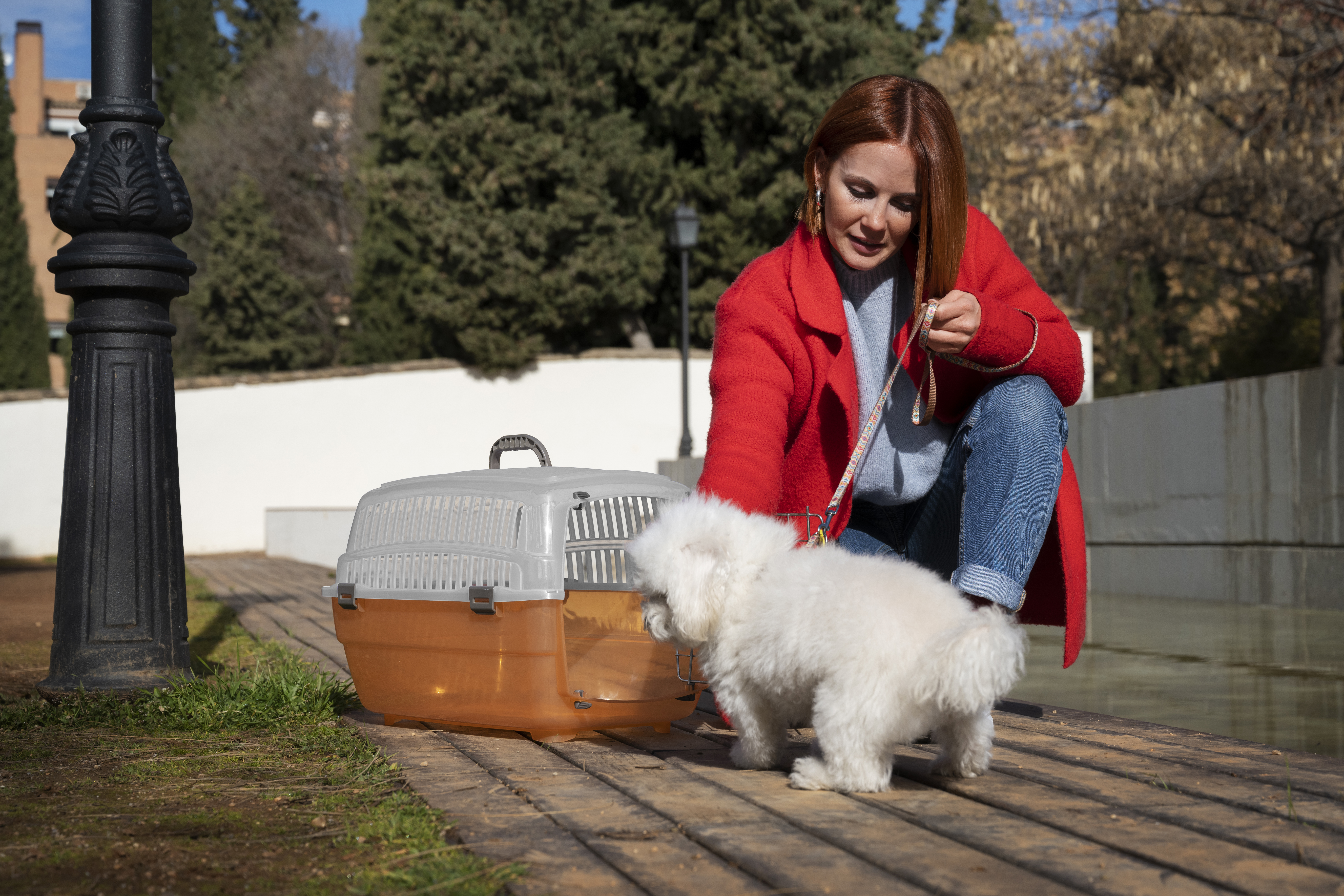 Relocate Your Pet