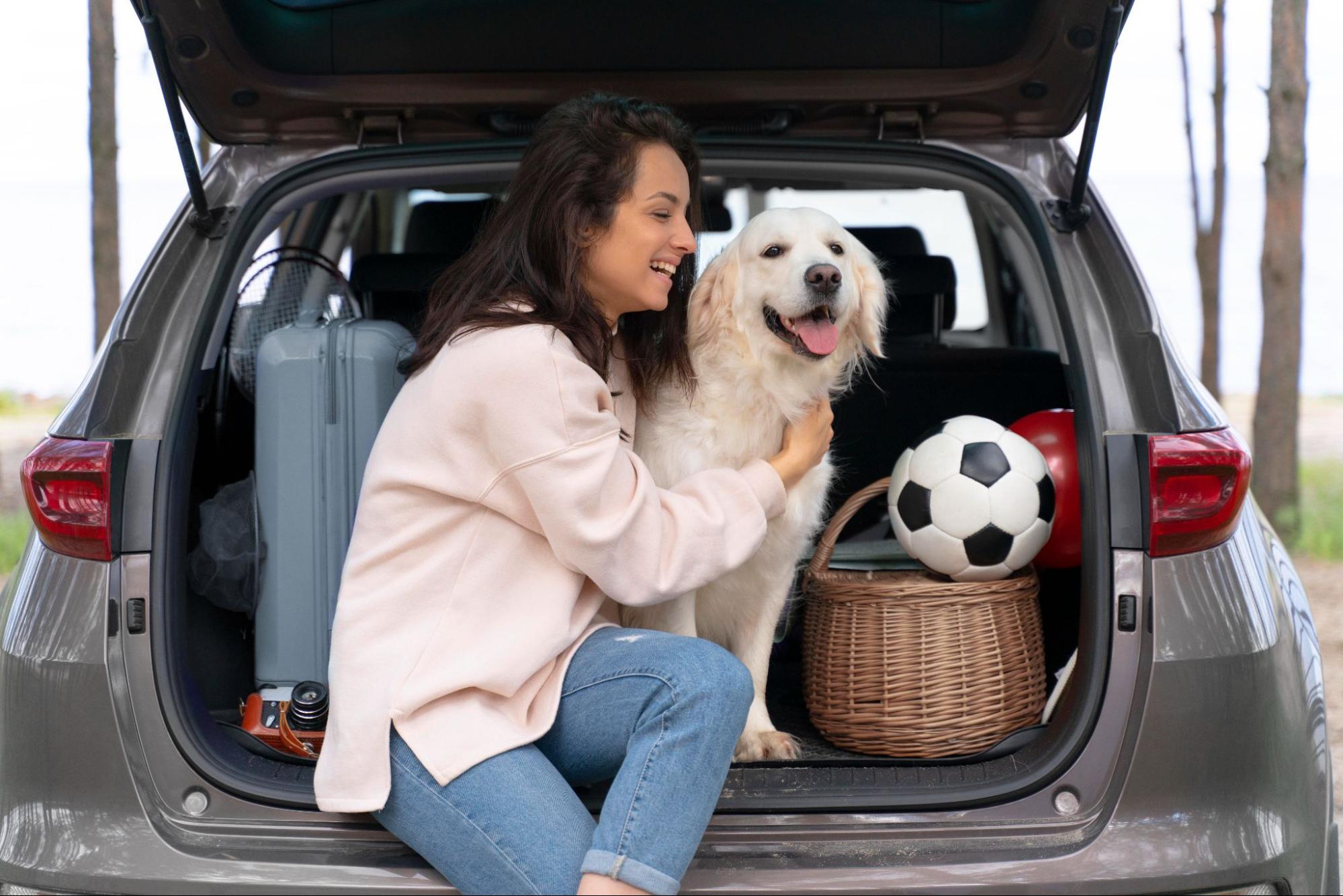 Pet Relocation