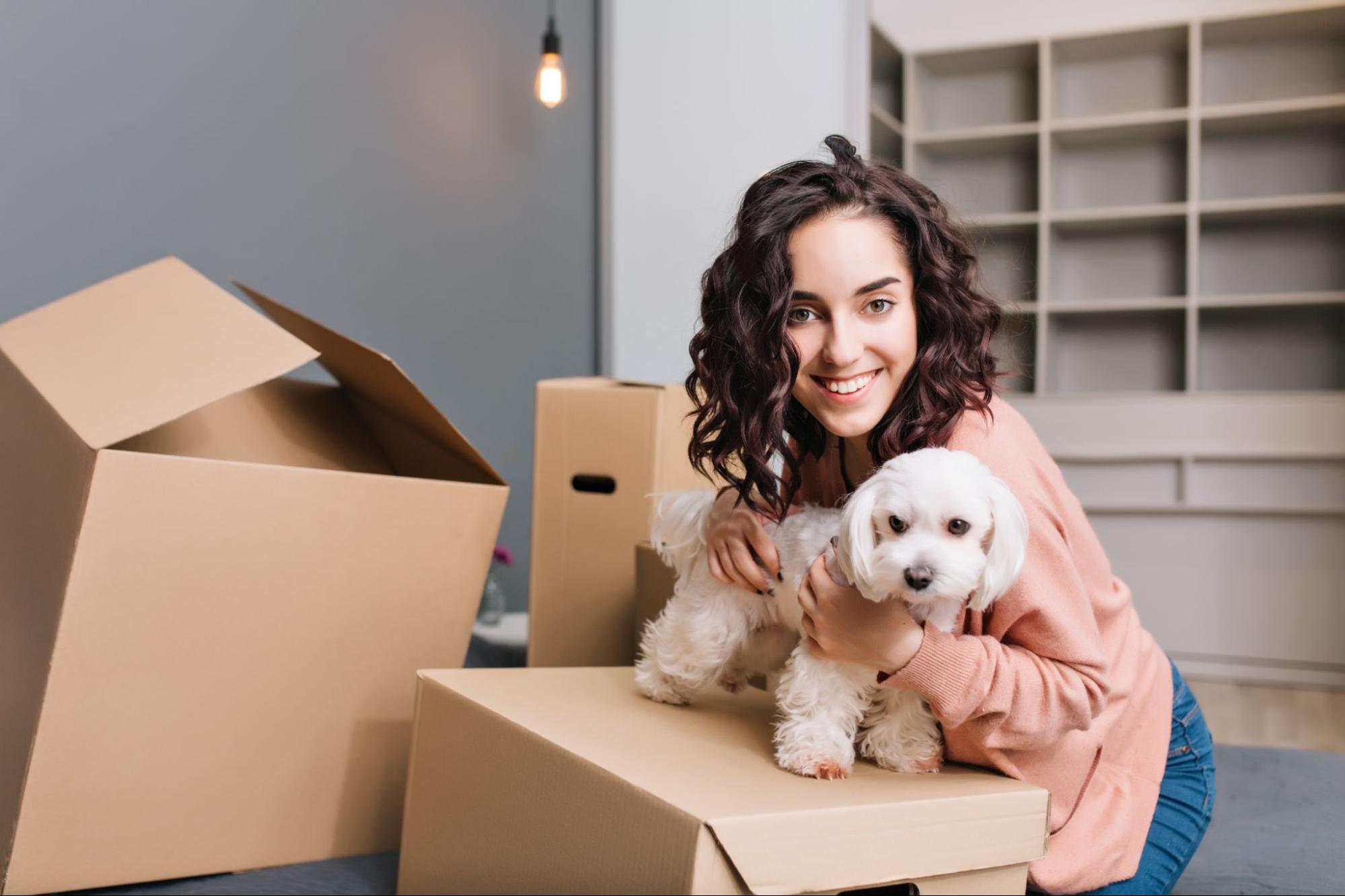 What to Look for in a Pet Relocation Service Provider